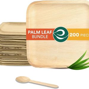 Palm Leaf Value Pack | Includes 10 inch Square Plate, 160 mm Birchwood Spoon