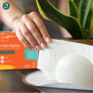 Tree Free Paper Napkins Large 2-Ply, 100 count